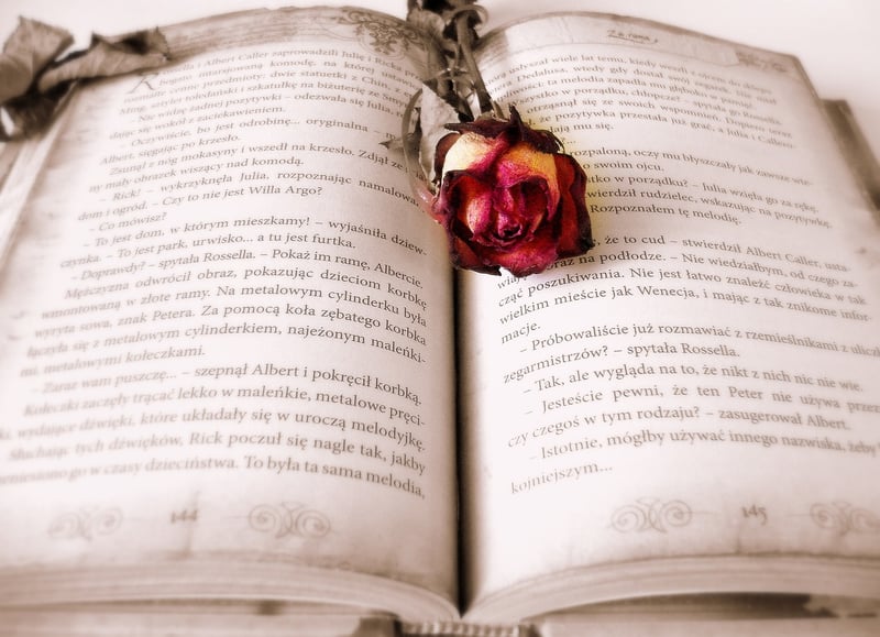 Clandestine Chronicles Image